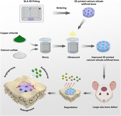 Calcium sulfate-Cu2+ delivery system improves 3D-Printed calcium silicate artificial bone to repair large bone defects